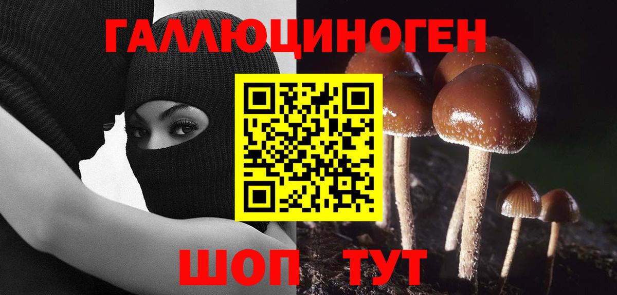 Галлюциногенные грибы GOLDEN TEACHER  Псилоцибиновые грибы Psilocybe  Вход с VPN  Сегежа 